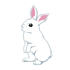 立つリアルな白ウサギのイラスト