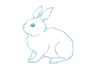 ふわふわした白ウサギの線画イラスト（青線）
