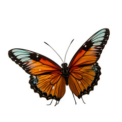 Fototapeta premium Illustration of a flying colorful butterfly isolated on a white background as transparent PNG