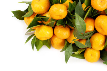 Yellow tangerines isolated on white background. Copy space for text.