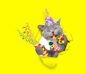 Happy cat wearing tie bow and party cap holds exploding firecracker blows in party horn and looks...