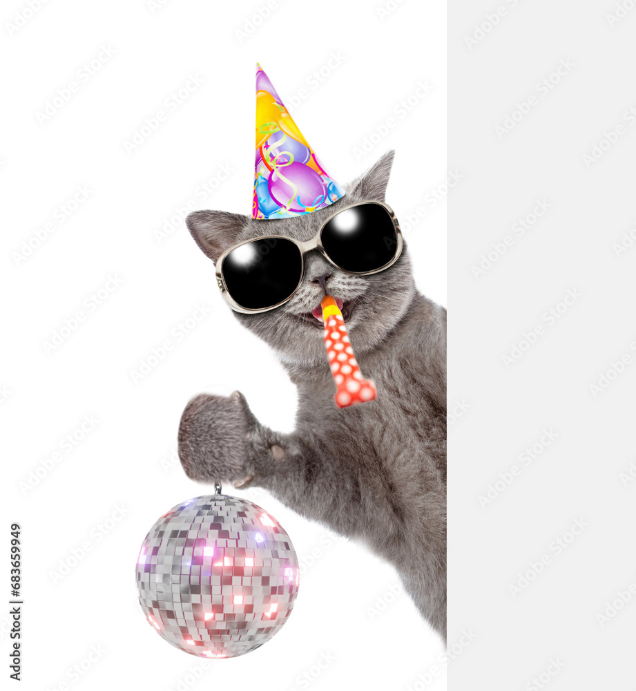 Poster happy cat wearing party cap and sunglasses looks from behind empty banner and shows dico ball and bl