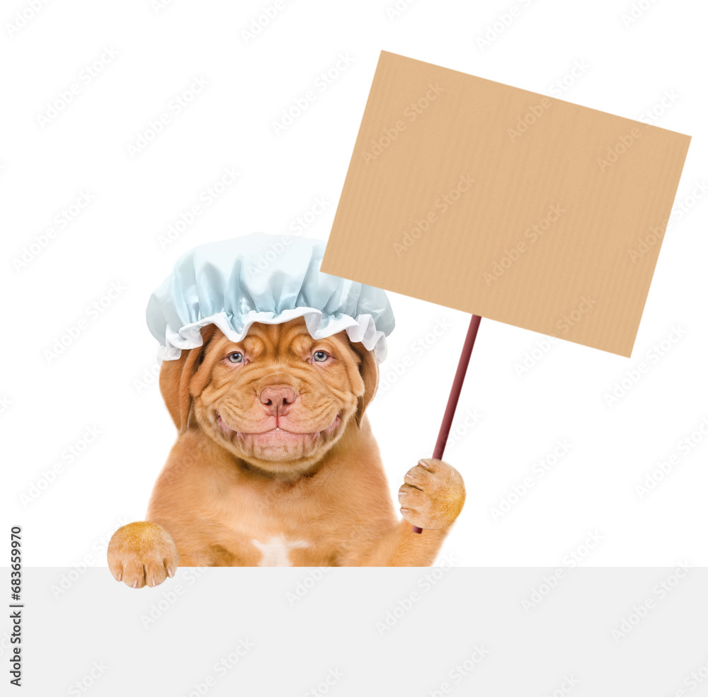 Poster funny mastiff puppy wearing shower cap holds empty placard above empty white banner. isolated on whi