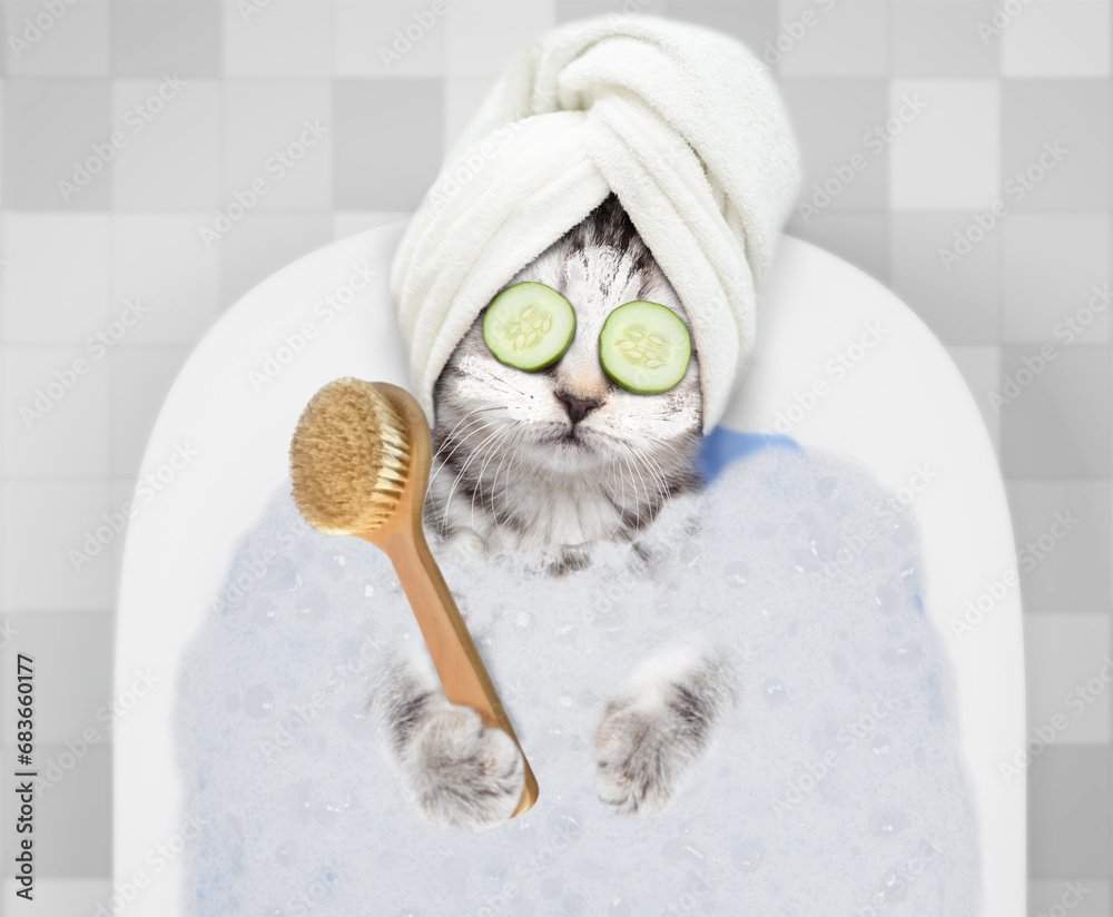 Poster Tabby kitten with with towell on it head, with pieces of cucumber on it eyes and with cream on it face takes the bath at home and holds shower brush. Top down view
