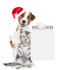 Funny Jack russell terrier puppy and funny cute kitten wearing santa hats standing together. Dog shows empty notepad. isolated on white background