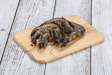 Raw tiger prawn for cooking