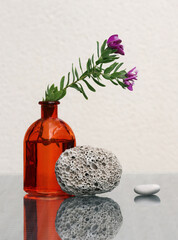 Flower and two sea pebbles - 683662168