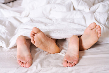 Feet of a couple in bed under the white blanket. - obrazy, fototapety, plakaty