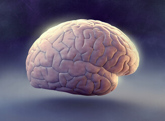 Brain on the dark background 3d illustration