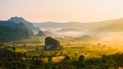 Obraz premium Phu Langka during sunrise Northern Thailand in the mountains, Morning landscape view of Phu Langka mountain forest park in Phayao province Thailand. Asia with mist and fog at sunrise