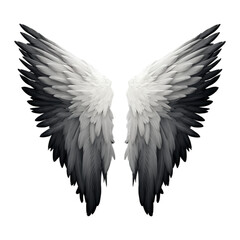 angel wings on the transparent background, in the style of gray and black
