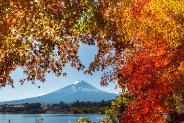 河口湖から紅葉と富士山