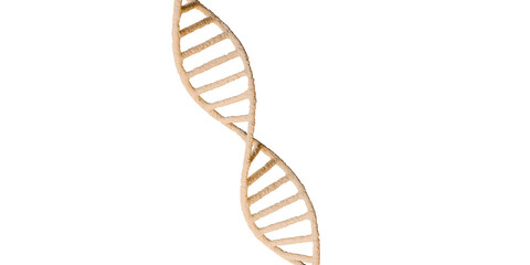 Pink Double Helix DNA Molecule on transparent Background. 3D render.