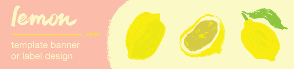 Template lemon banner with empty space for text. Lemon illustration in vector. Hand drawn citrus fruit for banner background, juice packaging, jam label, cosmetic packaging design.