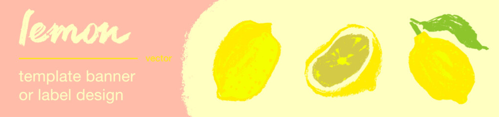 Template lemon banner with empty space for text. Lemon illustration in vector. Hand drawn citrus fruit for banner background, juice packaging, jam label, cosmetic packaging design.