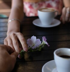 Coffee cup, hands holding a leaf and a blurry background of a sitting cozy client.
