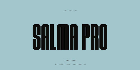 Elegant Font Uppercase Lowercase and Number. Classic Lettering Minimal Fashion Designs. Typography modern Sen Serif fonts regular decorative vintage concept. vector illustration. © SyedMuhammad