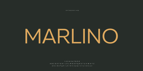 Elegant Font Uppercase Lowercase and Number. Classic Lettering Minimal Fashion Designs. Typography modern Sen Serif fonts regular decorative vintage concept. vector illustration. © SyedMuhammad