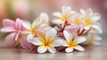 Deurstickers white frangipani flowers © Ibrahim