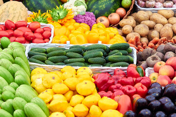 Bright ripe vegetables in large quantities. Agroculture.