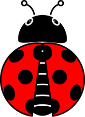 Cute ladybug or ladybird simple flat design red and black. Vector illustration on white background