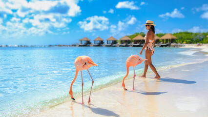 Asian women on the beach with pink flamingos at Aruba, flamingo at the beach in Aruba Island Caribbean. woman in a bikini relaxing on the beach during vacation © Fokke Baarssen