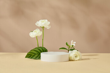 Pedestal for cosmetic product and packaging mockups presentation. Empty round podium decorated with beautiful white flower and green leaf on brown background. Front view