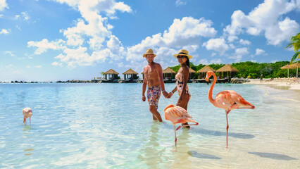 Aruba Beach with pink flamingos at the beach, a couple of men and women on the beach with pink...