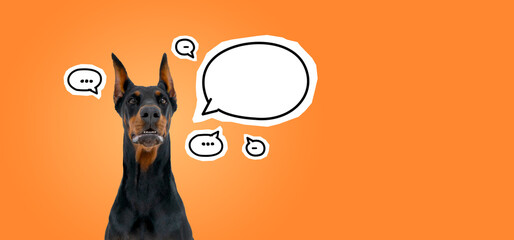 Dobermann dog head with mock up copy space empty thought bubble