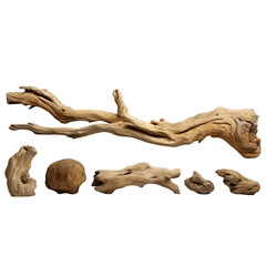 Obraz premium Dry branches textured pieces isolated on transparent background