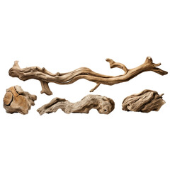 Dry branches textured pieces isolated on transparent background