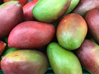 Mango mangos