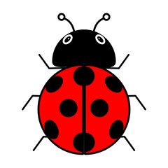 Cute ladybug or ladybird simple flat design red and black. Vector illustration on white background