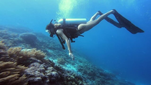 Scuba diving, woman and swimming underwater with coral reef for freedom, adventure and wildlife in ocean. Diver, person or snorkeling by seabed with gear for travel, vacation or undersea exploration