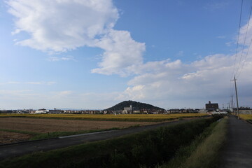 Beautiful rural landscape with green crops, rolling hills, and clear blue sky.