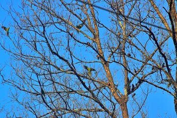 chitwan national park sightseeing