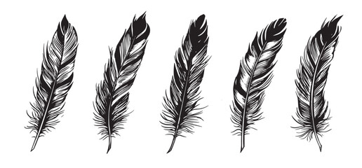 Feathers hand drawn sketch style, set on white background. - obrazy, fototapety, plakaty