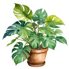 Watercolor illustration of Philodendron plant in the pot. Creative graphics design. Beautiful green houseplant for decoration.  