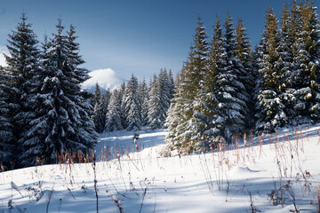 Winter landscape. Snow landscape on winter mountains. Carpathian Mountains, Ukraine