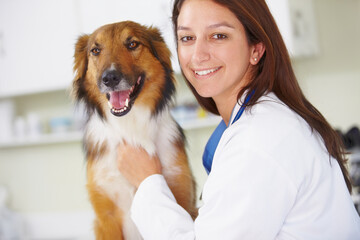 Vet clinic portrait, dog and happy woman for medical help, wellness healing services or animal...