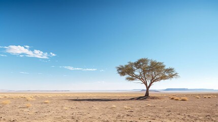 Fototapeta na wymiar a tree in a desert