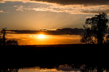 Orange bright sunset against the background of dark silhouettes of trees