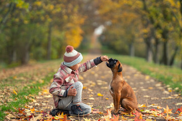 niedlicher kleiner Junge übt mit Hund im Park