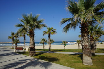 Chaim Herzog Beach Promenade