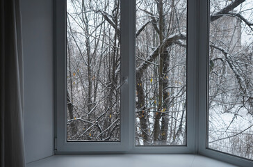 Window frame, view from the window, landscape with winter park trees.   