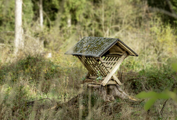 Feeding house in the forest