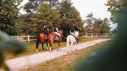 Horsewomen riding beautiful horses along the trail at the equestrian center on a bright summer day....