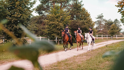 Horsewomen riding beautiful horses along the trail at the equestrian center on a bright summer day....