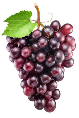 Cluster of red table grape with grape leaves isolated on white background. File contains clipping...