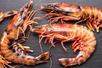 Fresh chilled striped prawns or tiger prawns on a gray slate serving board.